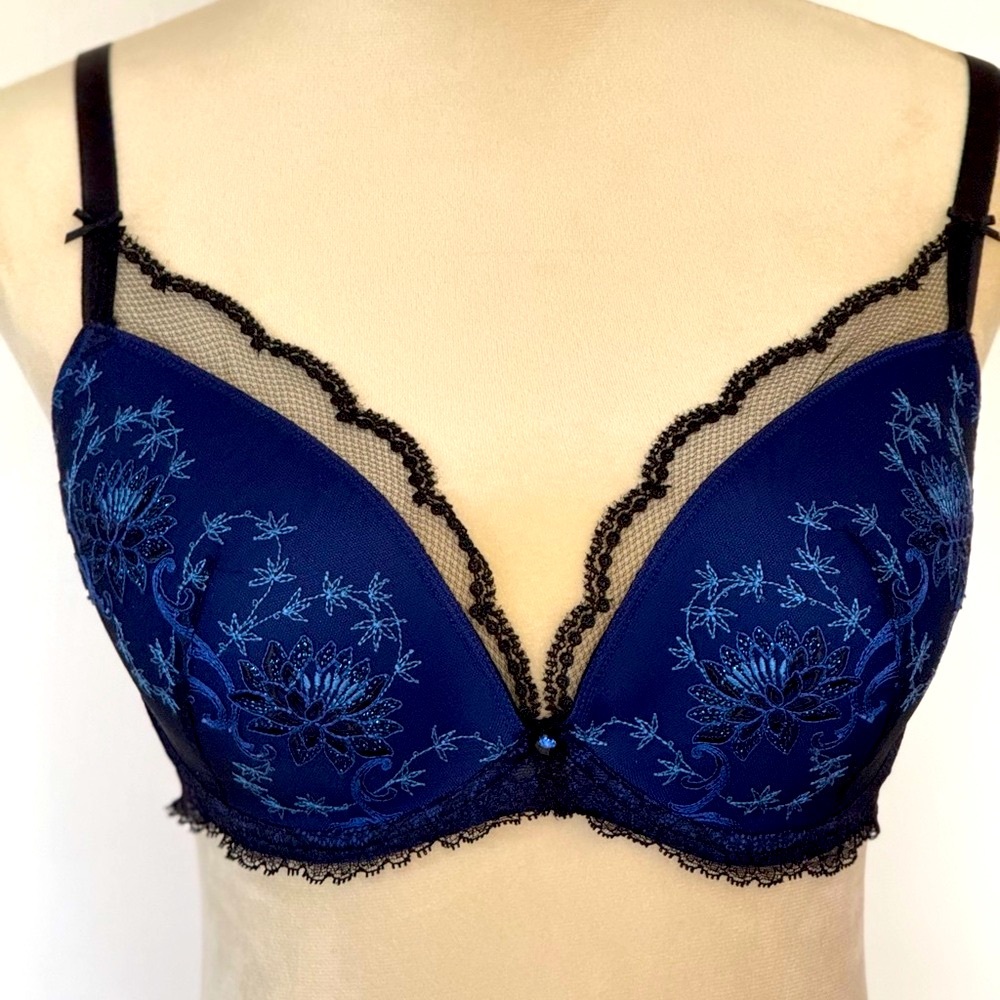 Lise Charmel  Black and Blue Lace Bra
